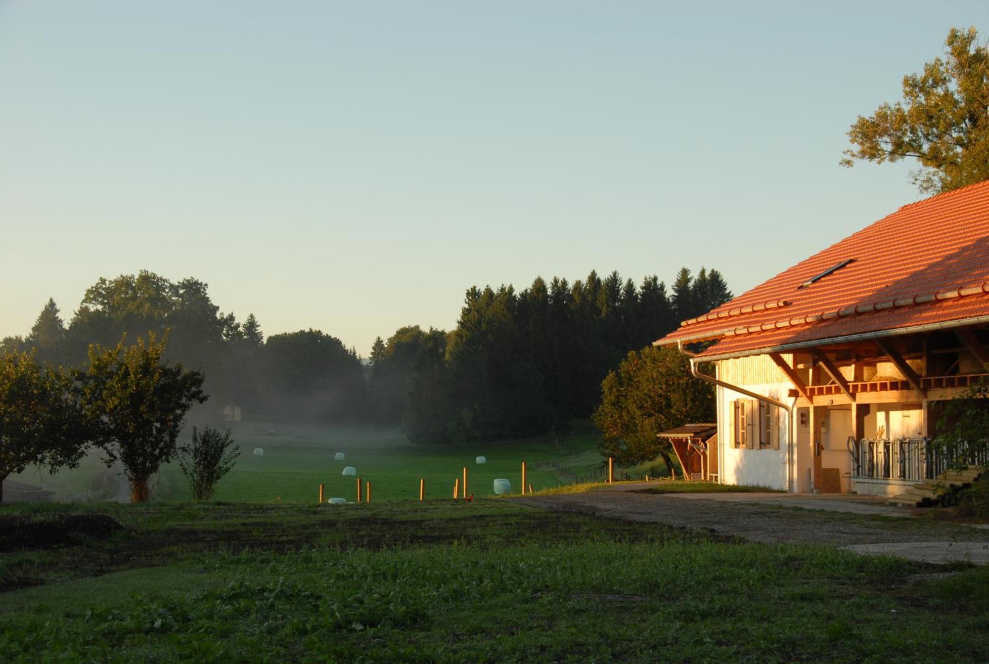 Hotel Zweilindenhof Seeshaupt Exterior foto