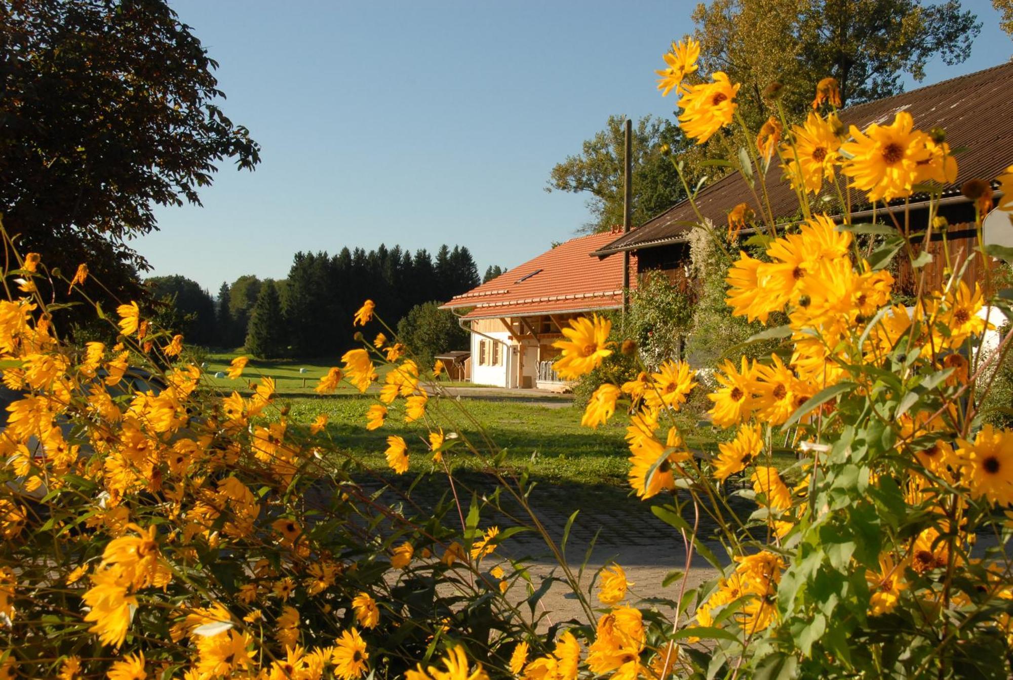 Hotel Zweilindenhof Seeshaupt Exterior foto